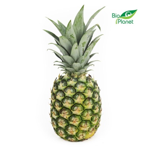 10366ANANAS ŚWIEŻY BIO (około 0,80 kg)-1