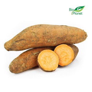 Bataty pomarańczowe świeże bio około 1,00 kg