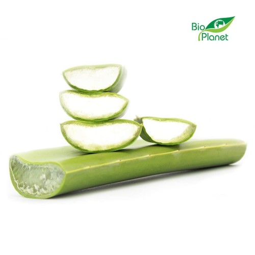 10848OPAKOWANIE ZBIORCZE (kg) - ALOES ŚWIEŻY BIO (około 4 kg)-1