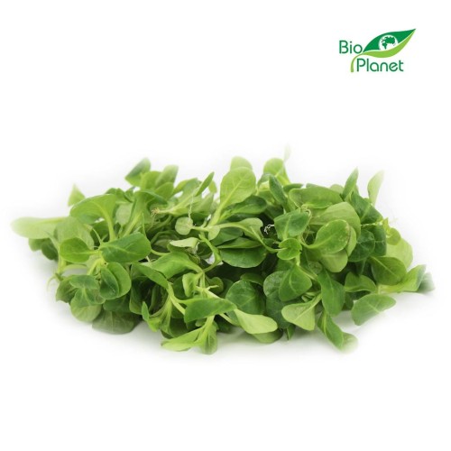 12376ROSZPONKA NIEMYTA ŚWIEŻA BIO (około 0,10 kg)-1