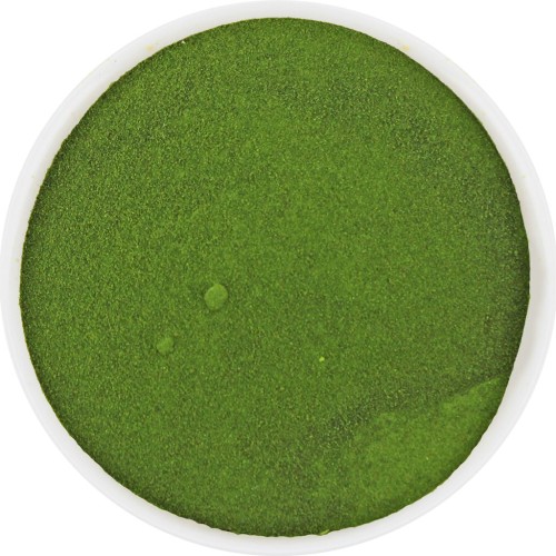 20977SOK Z MŁODEGO JĘCZMIENIA SPROSZKOWANY BIO (SUROWIEC) (20 kg)-1