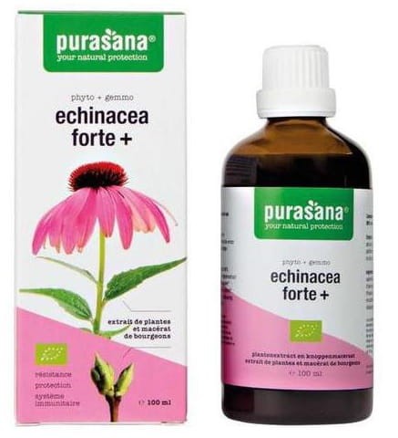 14809JEŻÓWKA PURPUROWA (ECHINACEA FORTE) KROPLE BIO 100 ml - PURASANA-1