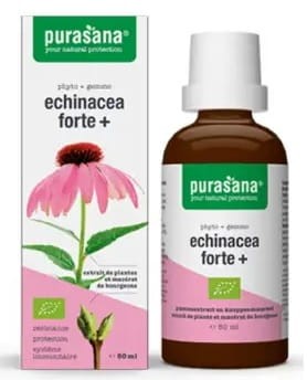 14648JEŻÓWKA PURPUROWA (ECHINACEA FORTE) KROPLE BIO 50 ml - PURASANA-1